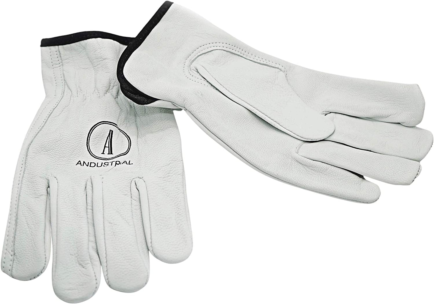 Unlined Top Grain Goat Skin Drivers Gloves